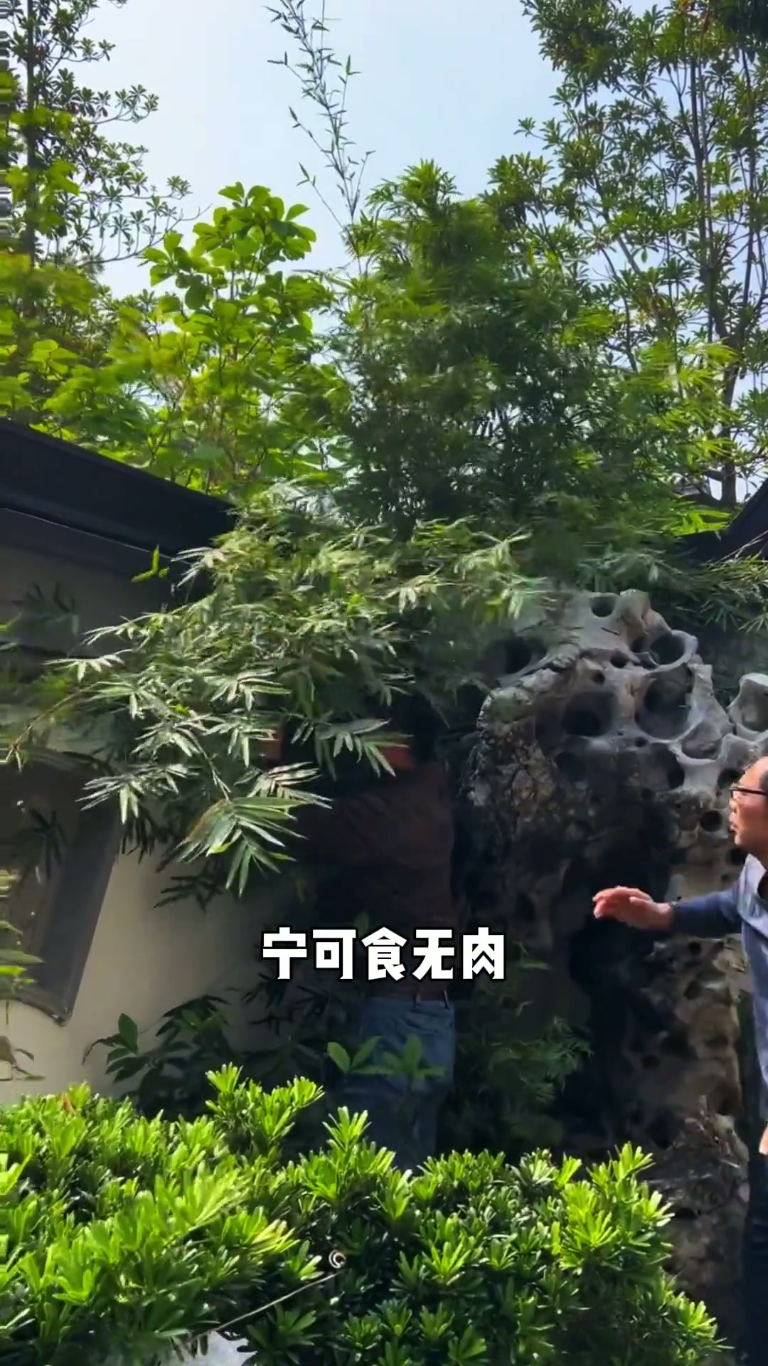 院子里适合种那几种竹子。