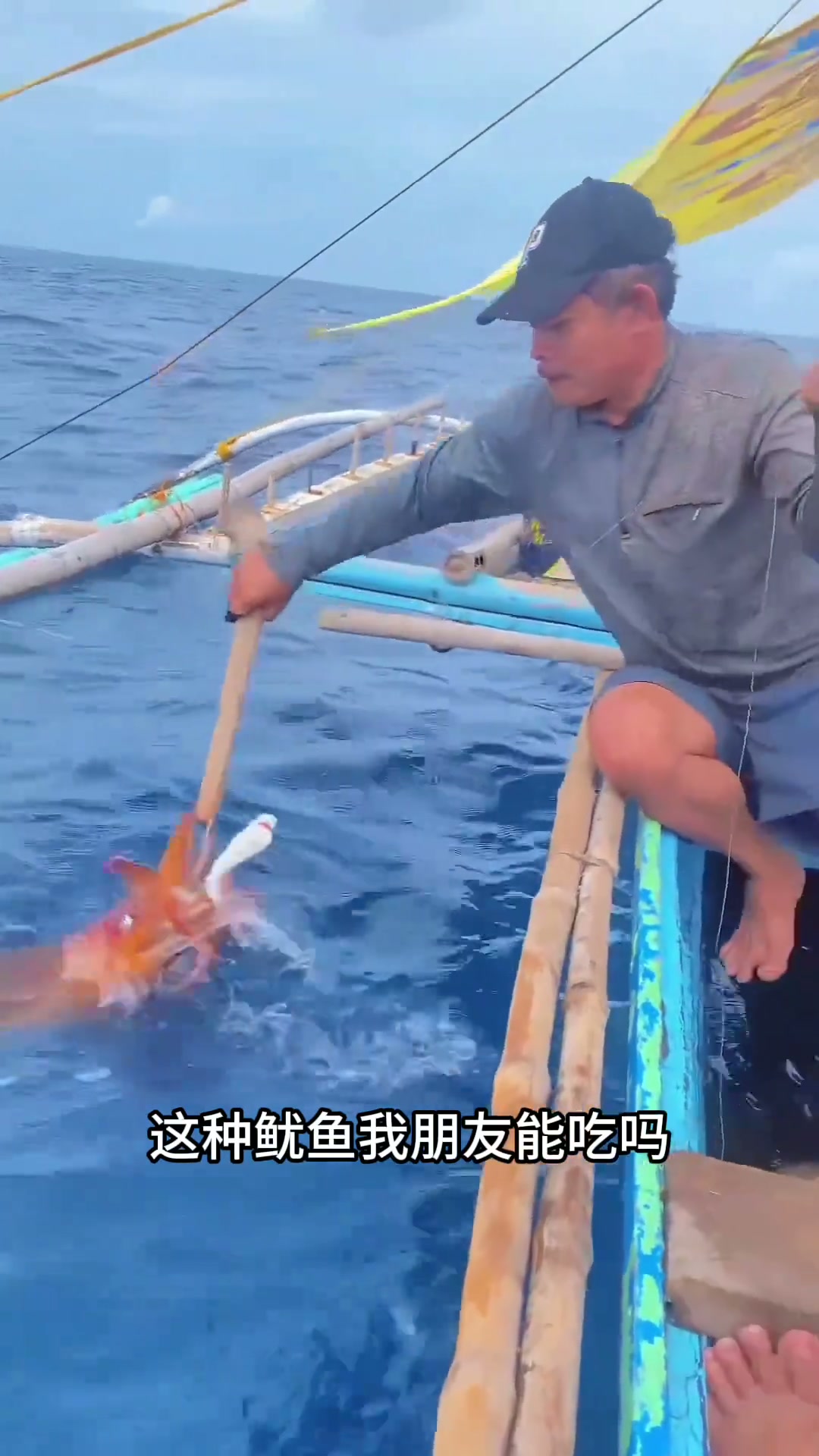 一口气带你认识15种罕见的鱿鱼,你都吃过几种?最后一种鱿鱼你们绝对没有吃过?