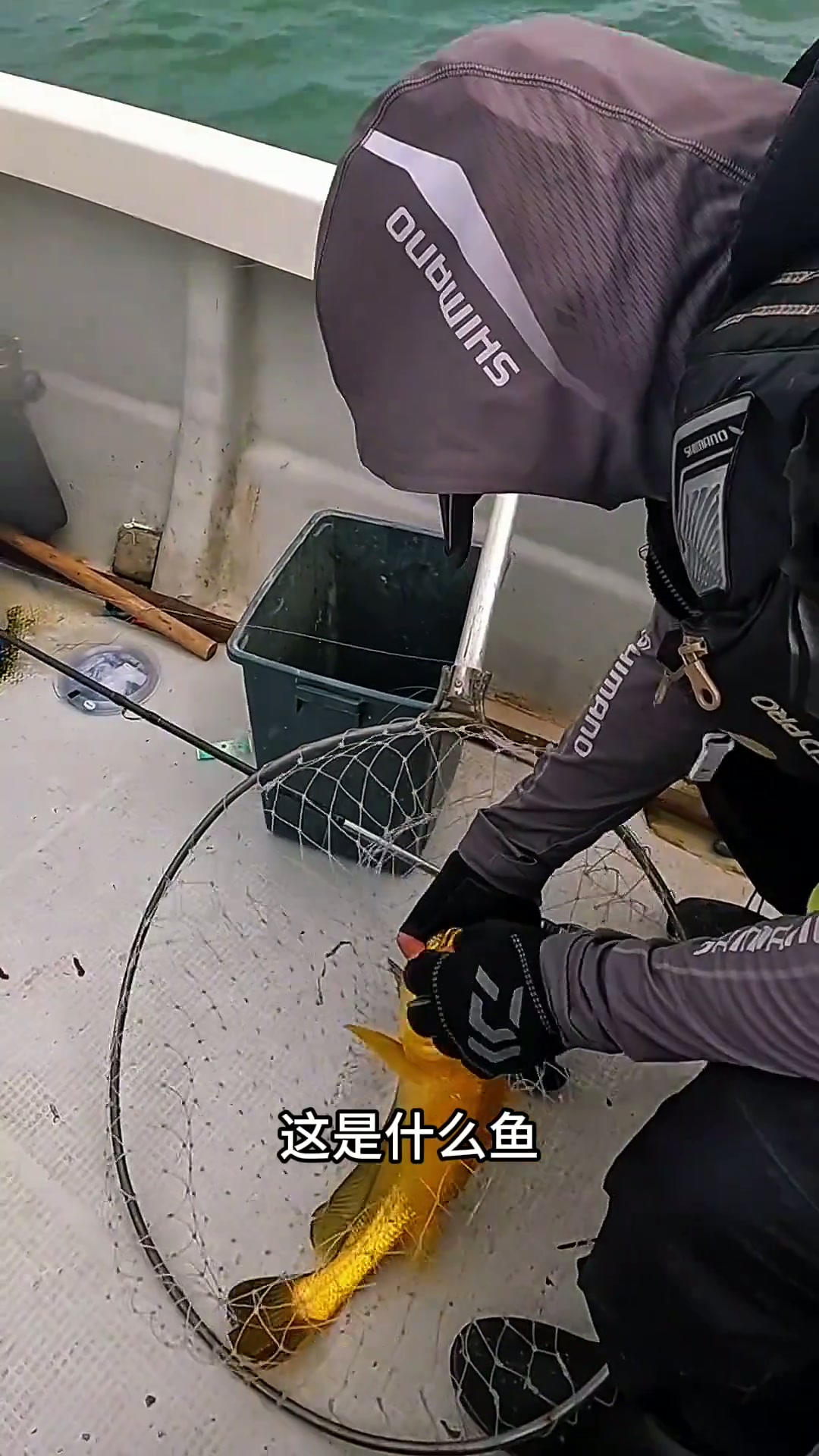 科普24种海鱼以及价格,你都吃过几种?