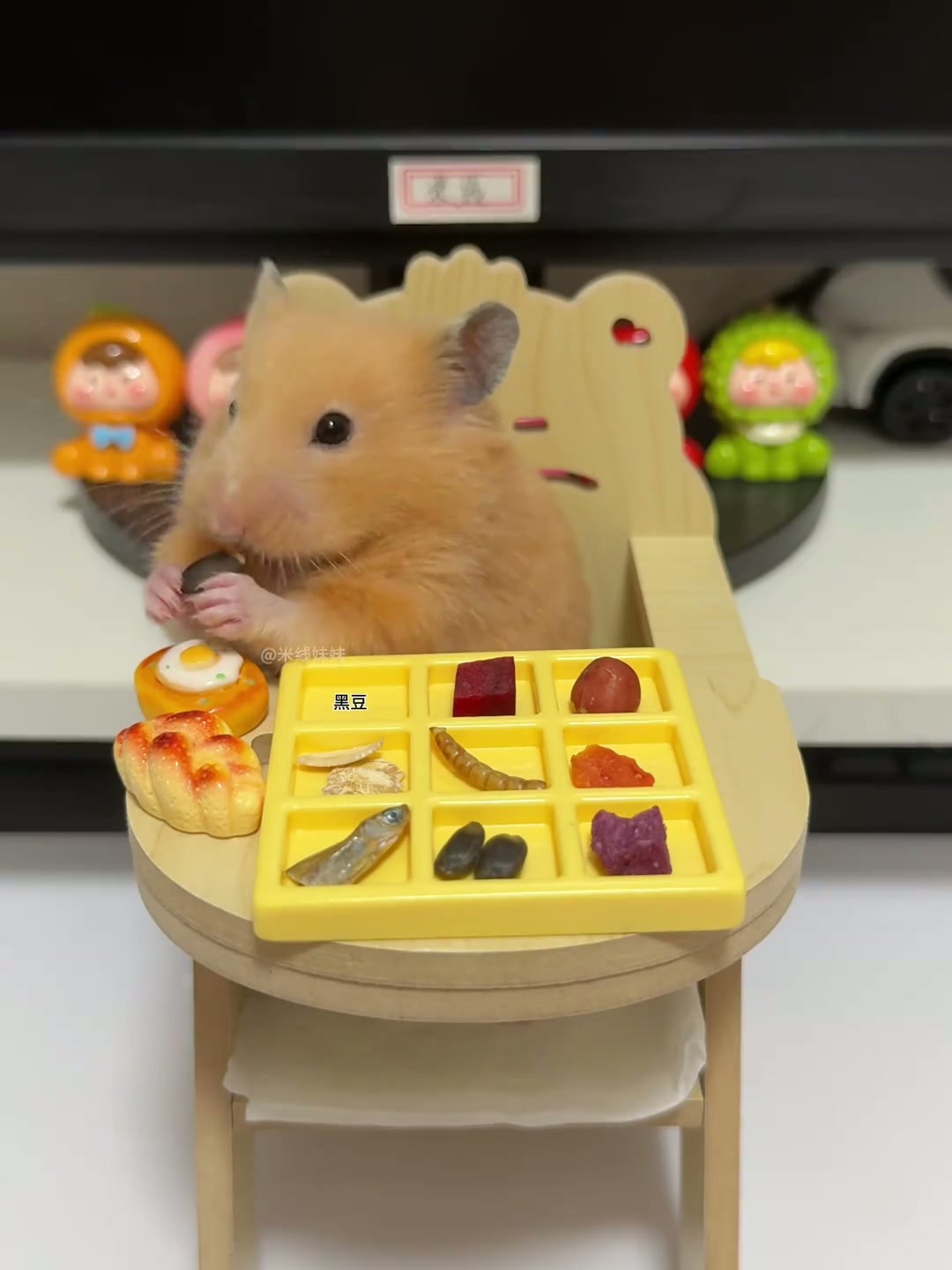 米线：每天就好那一口新鲜的蔬菜金丝熊鼠鼠九宫格吃播