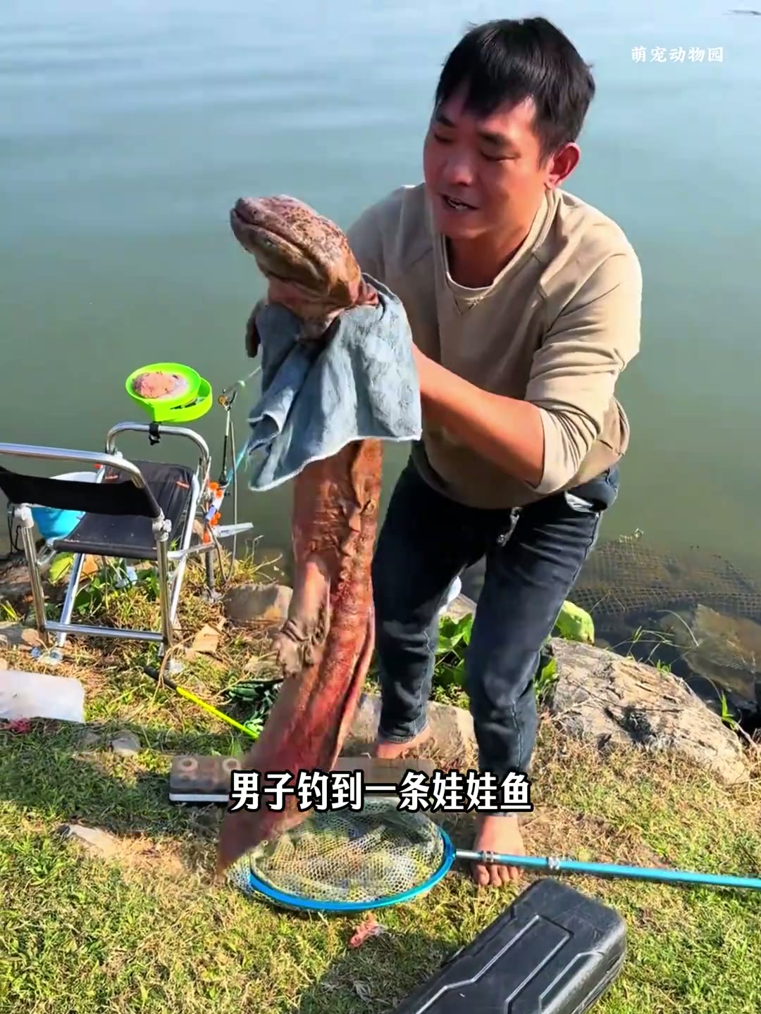 钓到娃娃鱼发出啼哭声，好心男子选择放生！