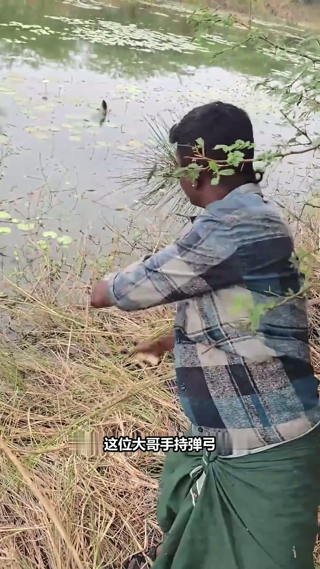 印度大哥弹弓捕鱼，手法快准狠，这技术简直是神了！