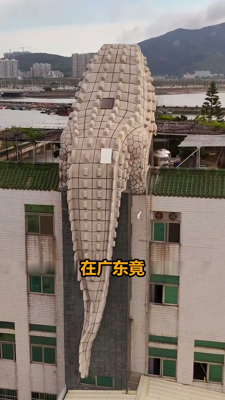 广东惊现最可怕鳄鱼楼!住在这里真的睡得着吗?小众探秘打卡地
