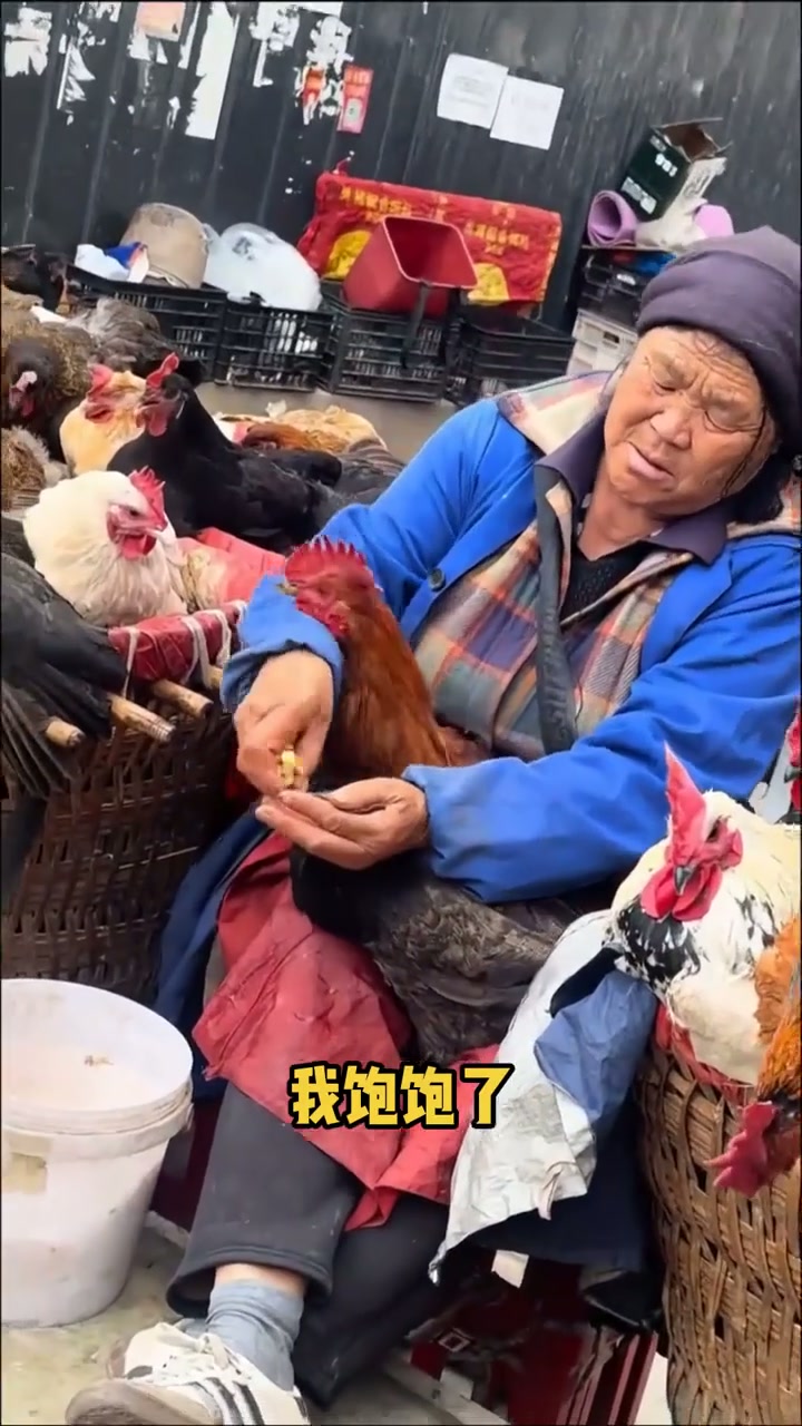大妈把玉米卖出了鸡肉的价格