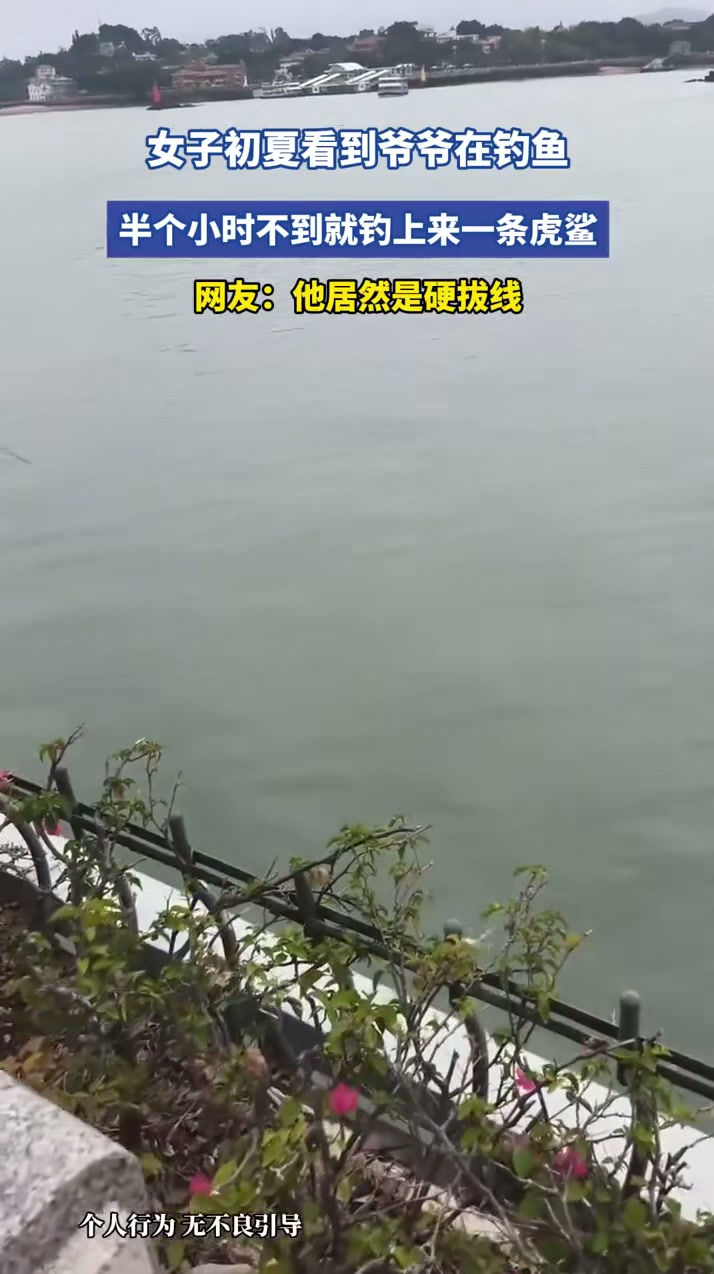 女子初夏看到爷爷在钓鱼，半个小时不到就钓上来一条虎鲨