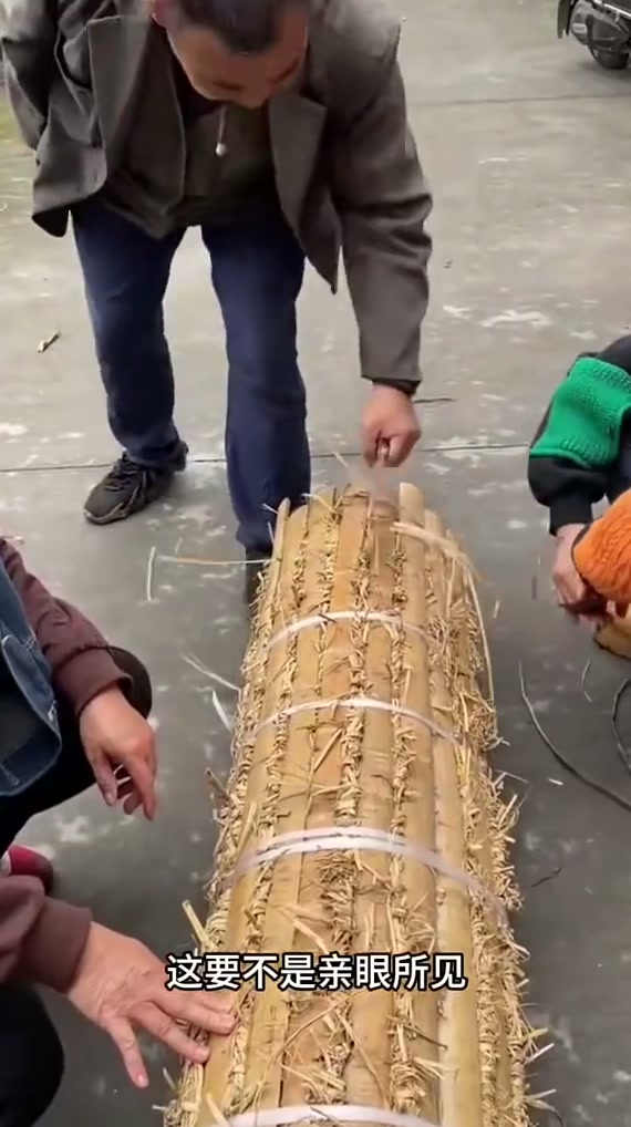大白菜叶子凉干后也不是这个样子啊？到底是什么东西