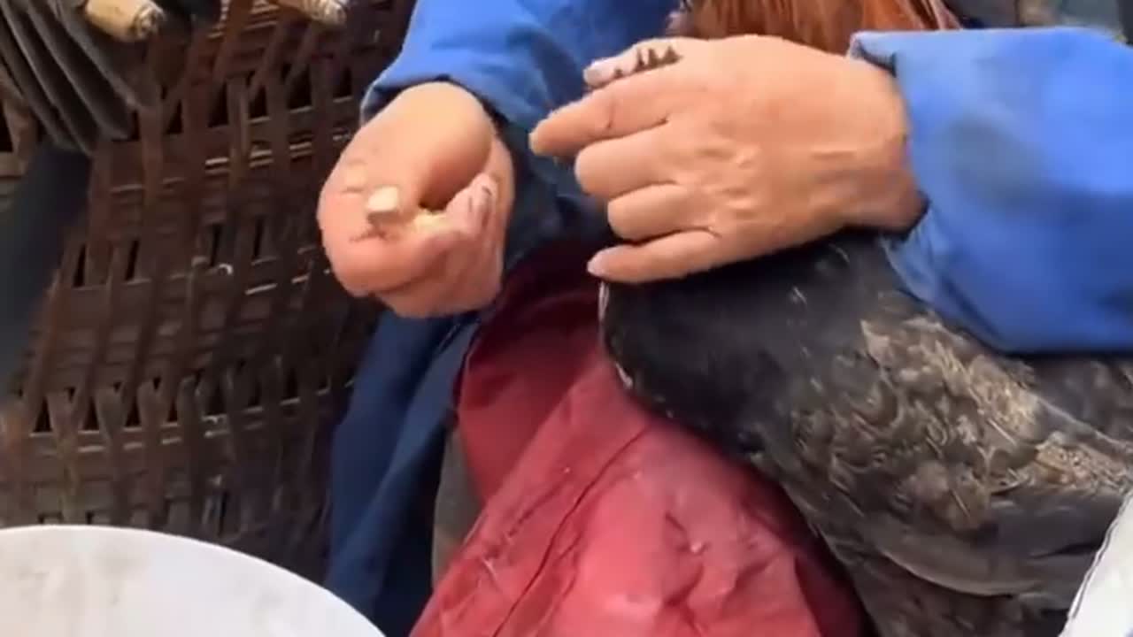 大妈把玉米卖出了鸡肉的价格