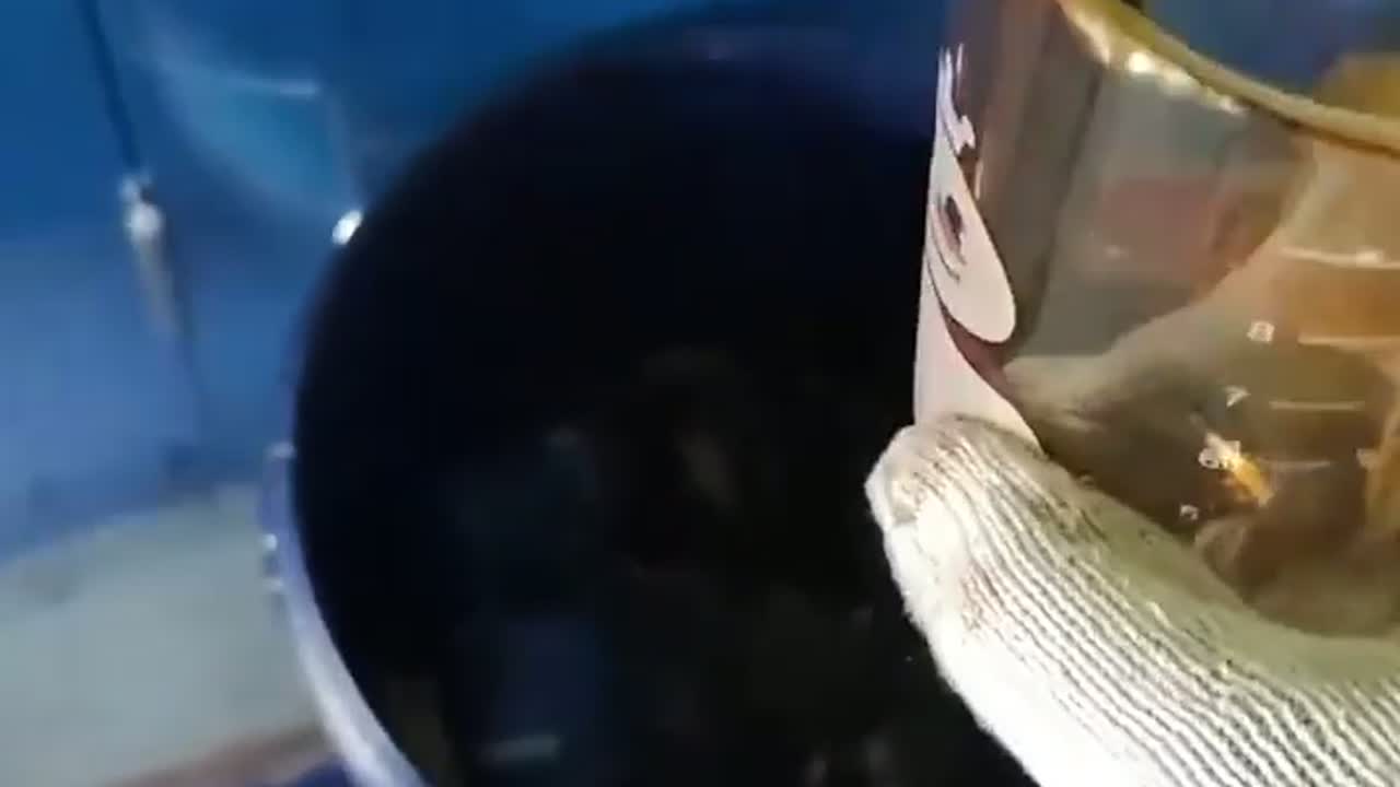 拆机油滤芯一杯蜜雪冰城就可以让手滴油不沾，这么多年浪费了我多