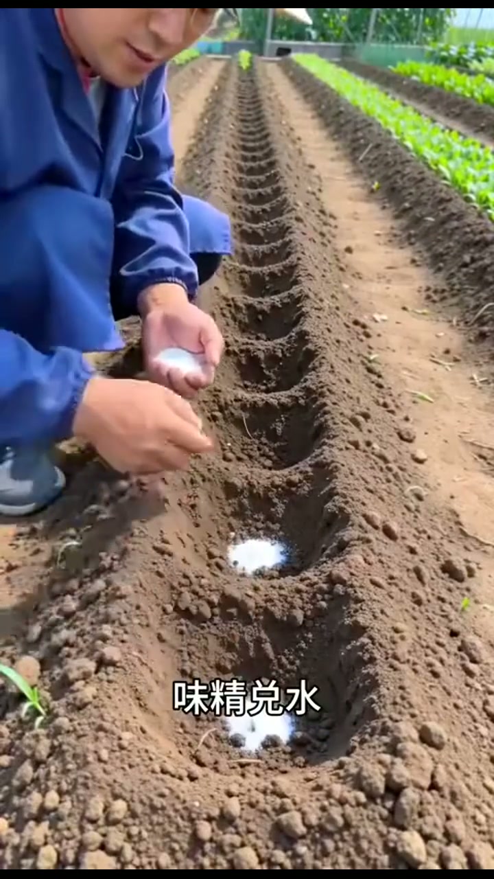 农民人工自制摘花生工具