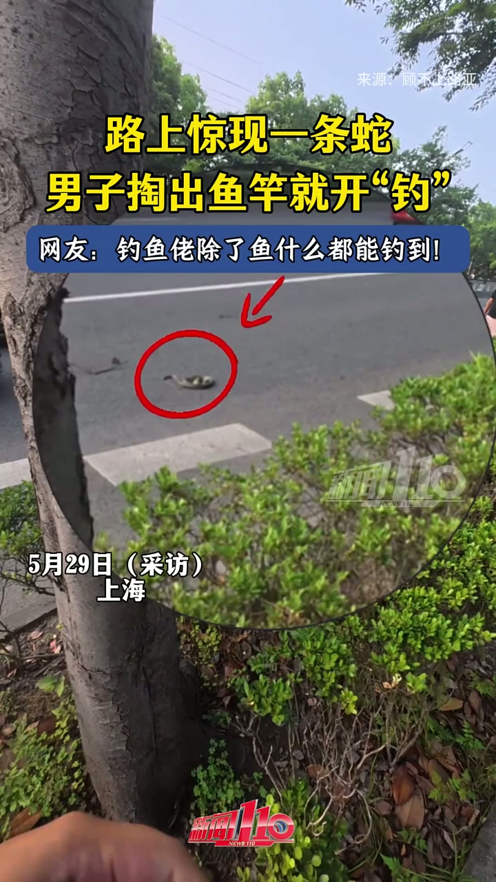 路上惊现一条蛇，男子掏出鱼竿就开“钓”，一路拖到水边放生。网友：钓鱼佬除了鱼什么都能钓到！