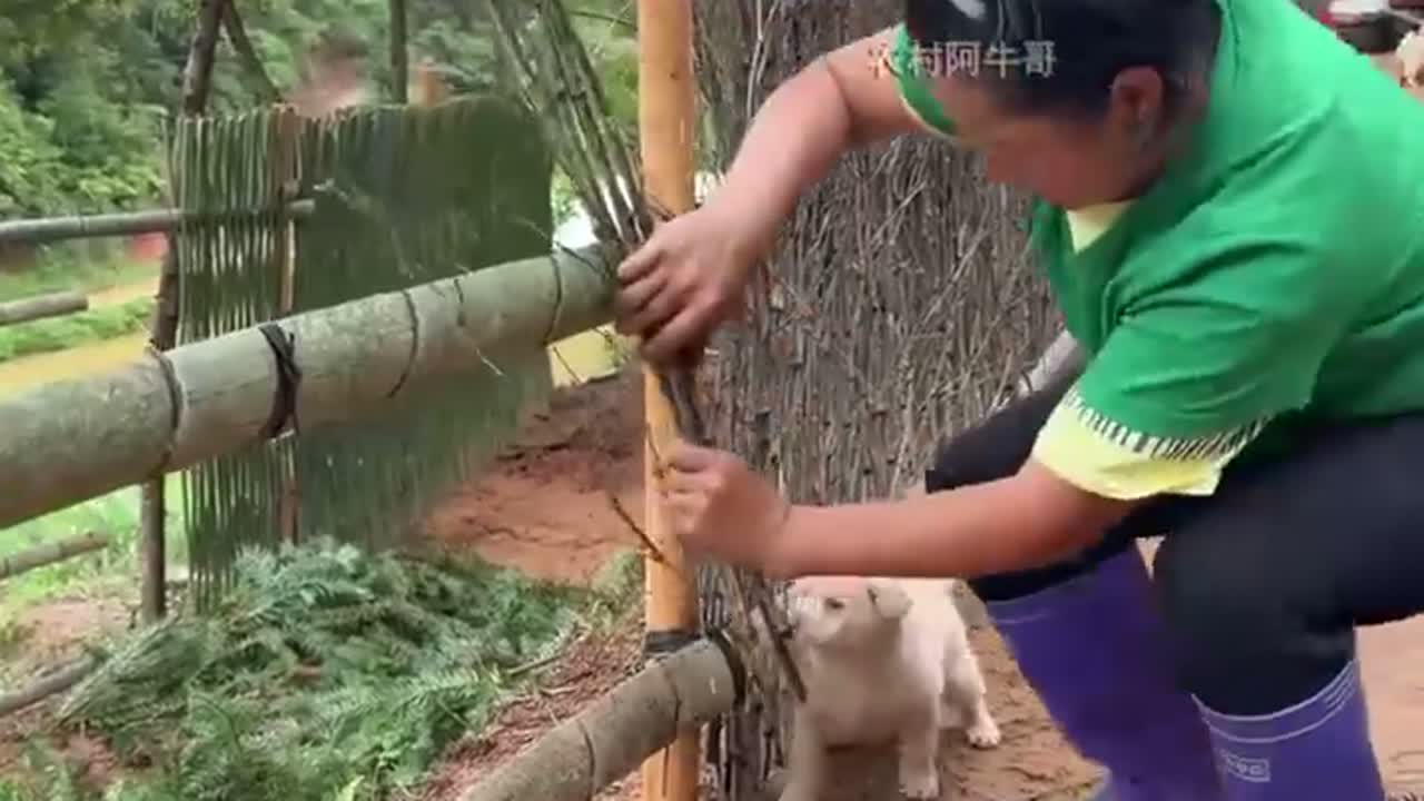 菜园篱笆围栏的编织教程教程，简单易学