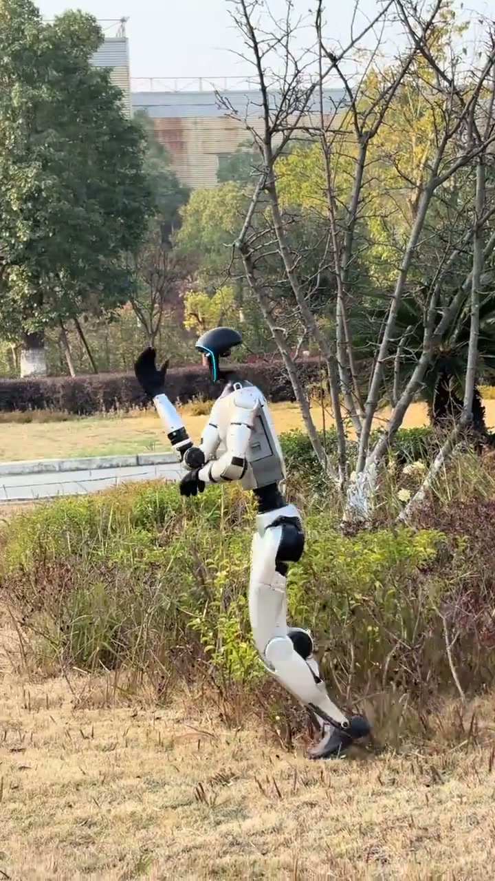 一群鸡站上房顶，用什么词形容一下大公鸡？