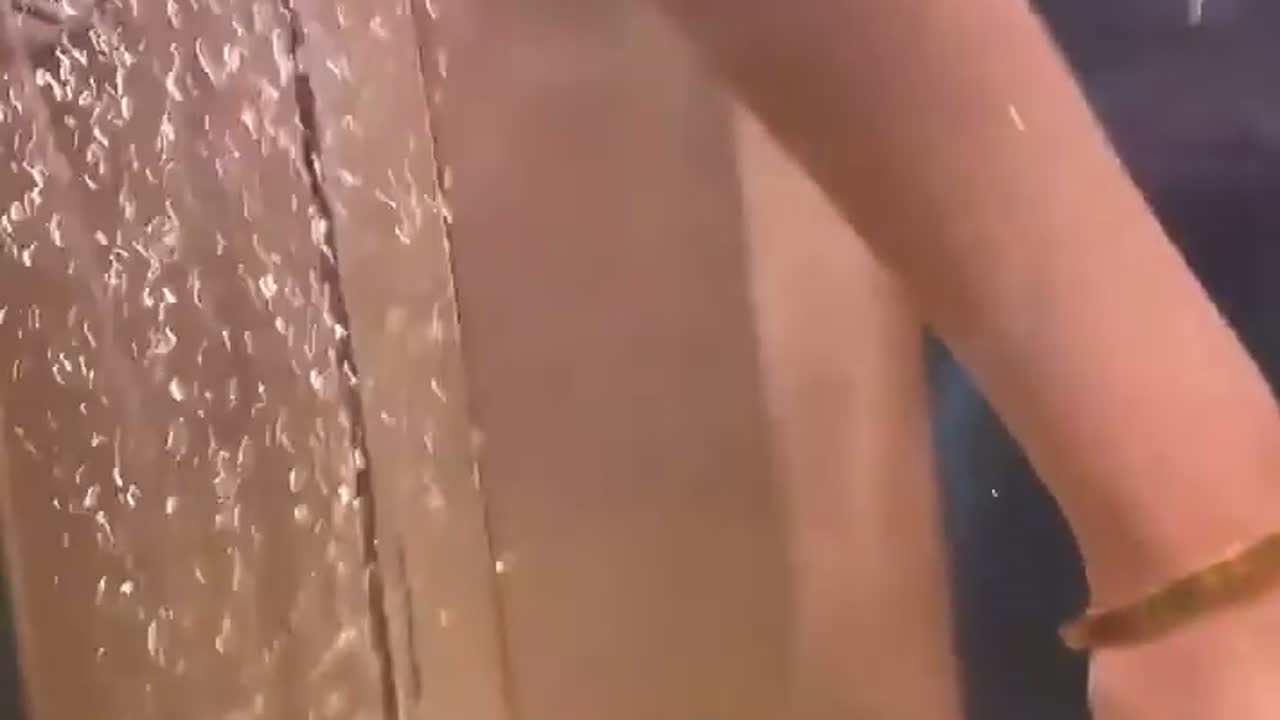 一年不食不饮，女子心爱招财猫鱼成谜案