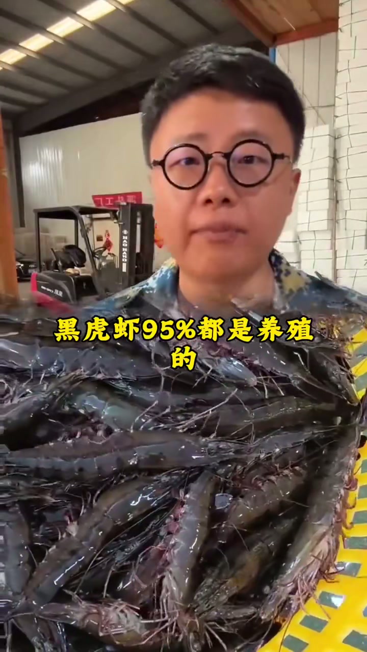 买海鲜不踩坑，12种常见的海鲜，野生养殖一次说清