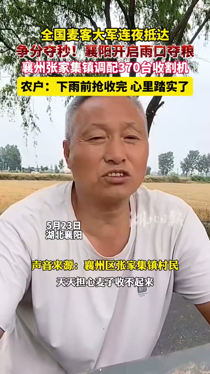 月23日，湖北襄阳。全国麦客大军连夜抵达，襄阳开启雨口夺粮模式，襄州张家集镇已调配370台