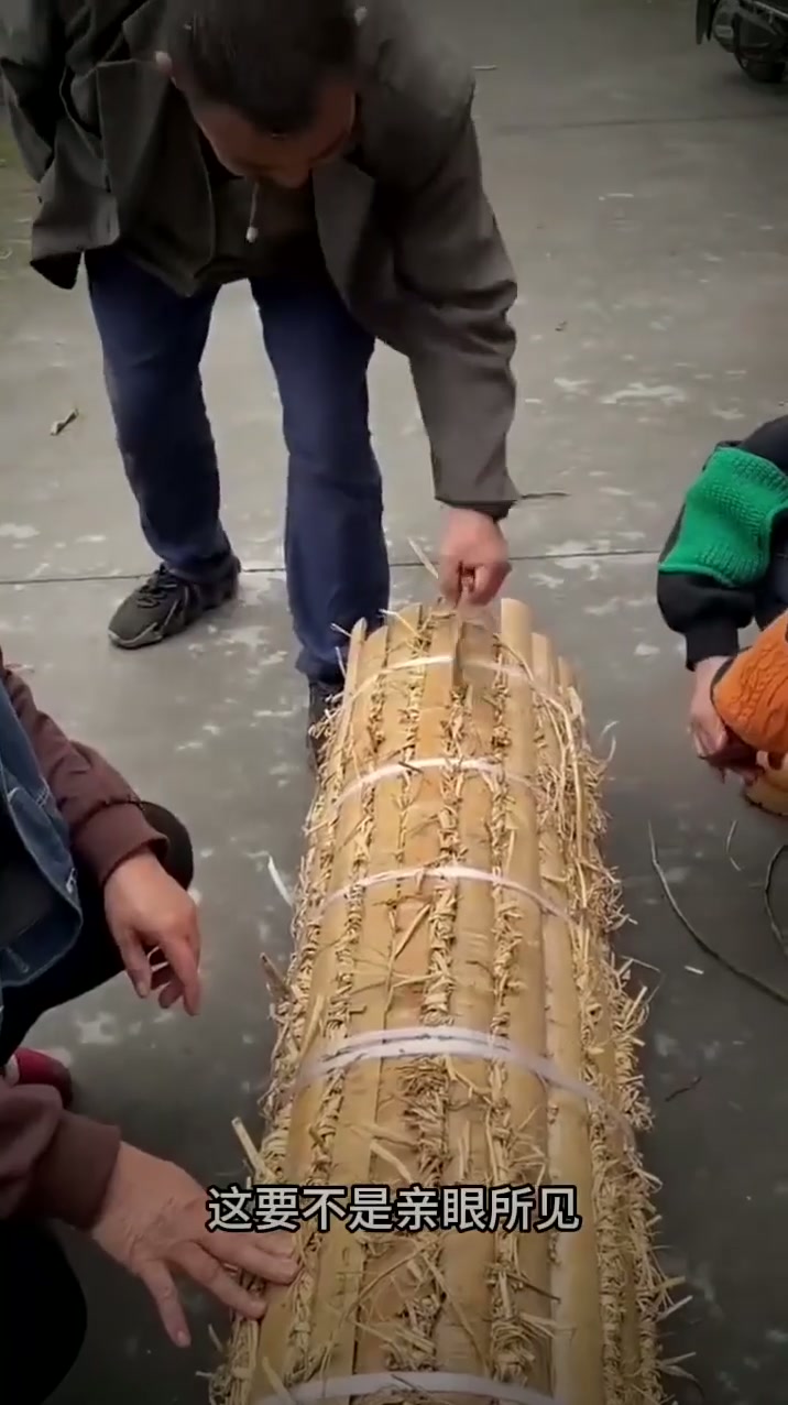 大白菜叶子凉干后也不是这个样子啊?到底是什么东西