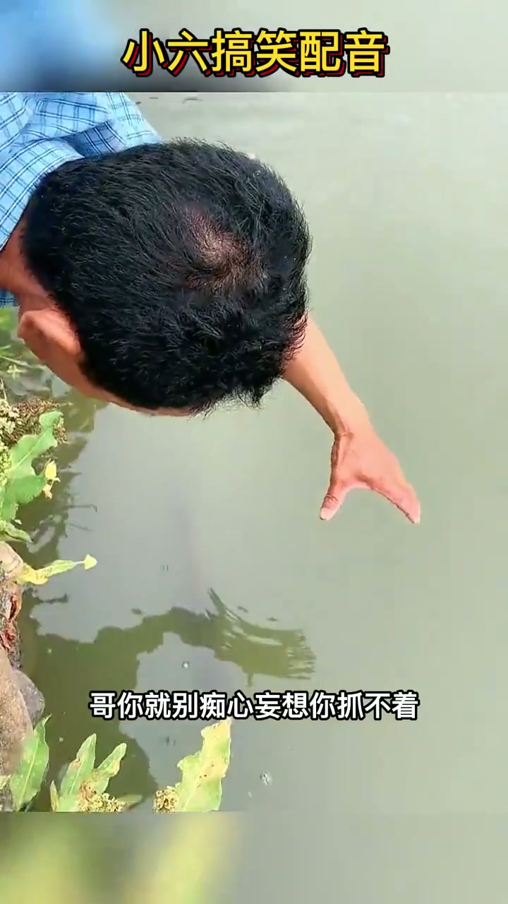 这是什么鱼啊？嘴巴怎么那么长，是不是保护动物？