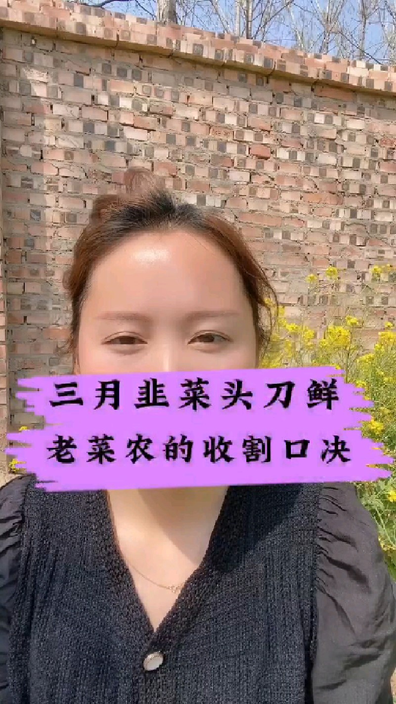 三月韭菜头刀鲜,老菜农的收割口诀