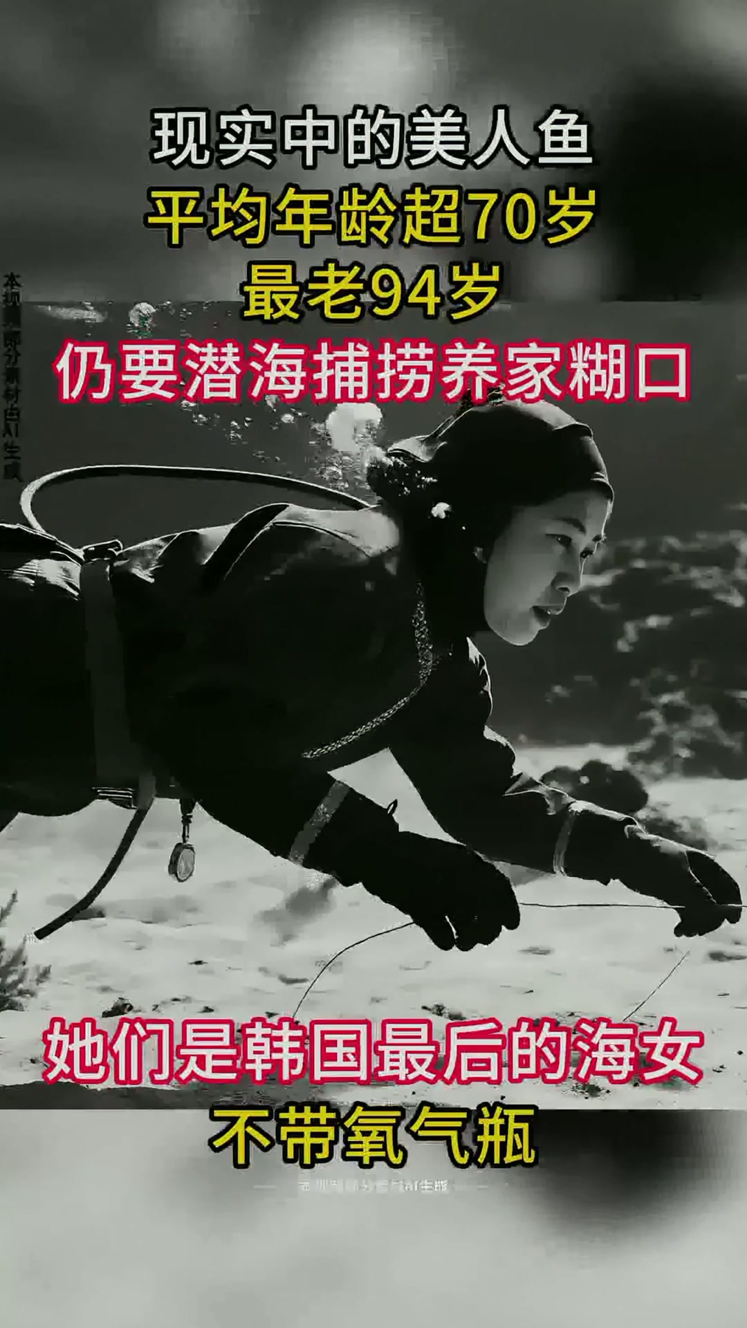 现实中的“美人鱼” 平均年龄超70岁，最老94岁，仍要捕捞养家