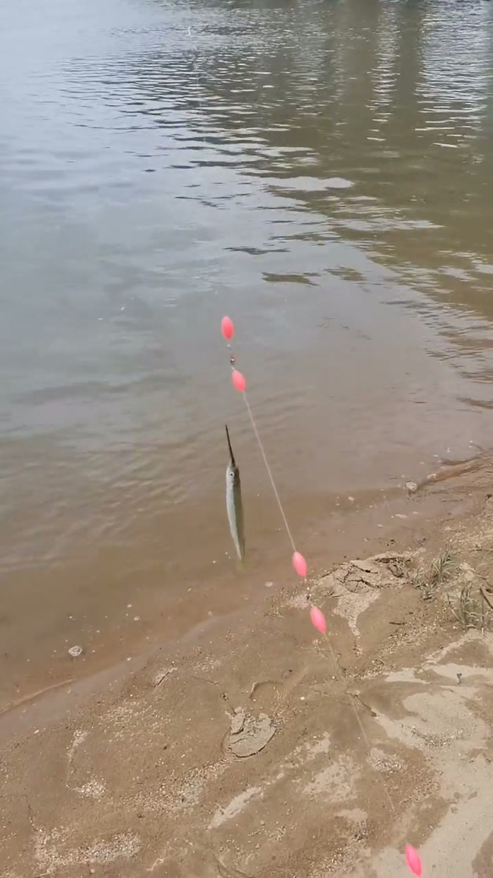 针鱼钓法升级版钓组