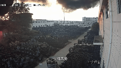 一個馬蜂窩為何造成百萬損失？男子入獄，真相讓人倒吸涼氣-有駕