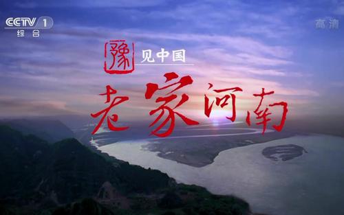 唐宫夜宴出圈,暴雨硬核免单,疫情连夜封路,你对河南改观了吗?