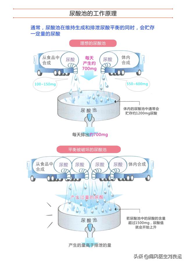 只有胖子才会患痛风？瘦子更容易出现尿酸高，医生讲解个中原因