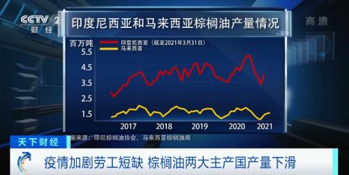 一年涨价1倍！从巧克力到化妆品，都离不开的这种原材