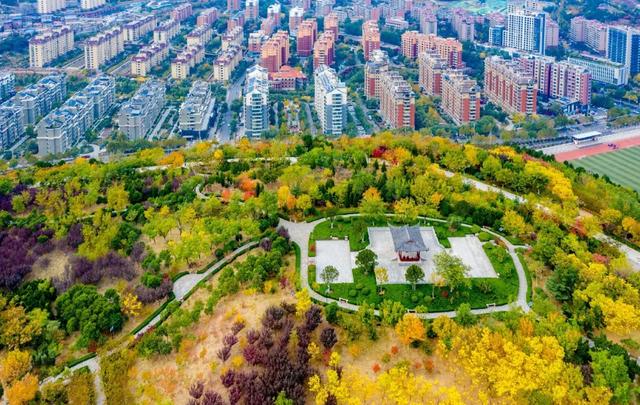 初冬，忍不住想来济南这些宝藏公园逛逛！风景美得像画一样～
