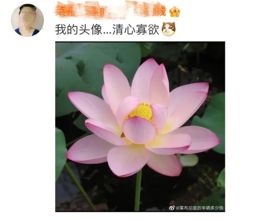 微信头像，还有这么个功能