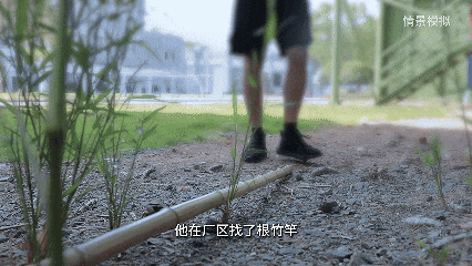 一個馬蜂窩為何造成百萬損失？男子入獄，真相讓人倒吸涼氣-有駕