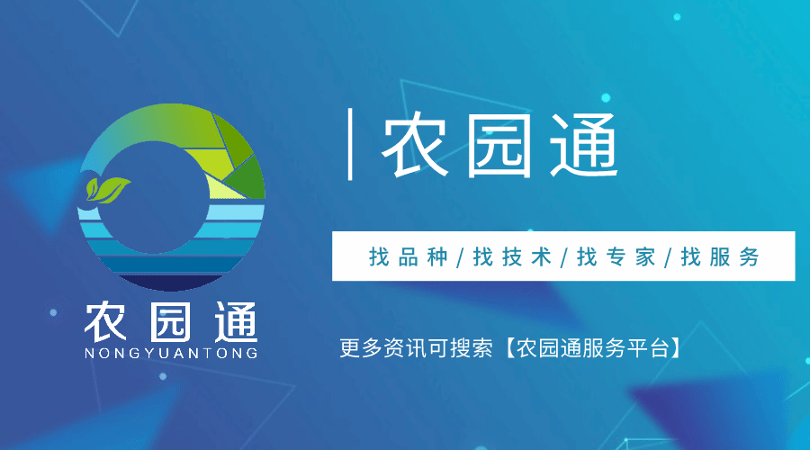 最新!高淳区“十四五”发展规划解读来了