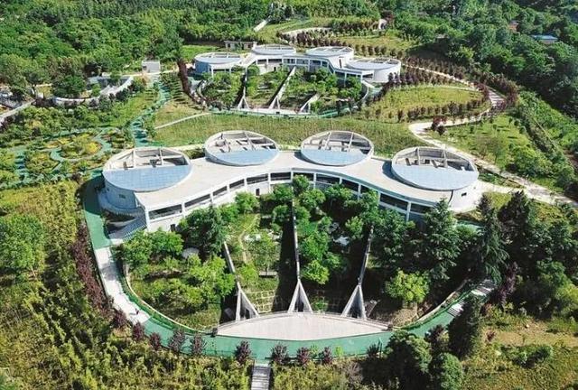 期待！黄河国家文化公园(陕西段) 预计2025年建成 面积约14.3万平方公里