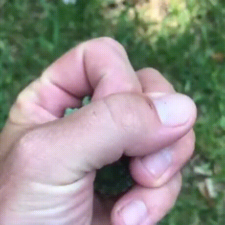 真香福利第797期 不耐烦的眼神藏不住挠人之心