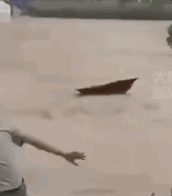 风雨面前一起扛!有你们,河南一定中!
