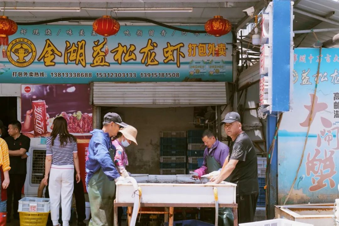 龙虾养殖龙虾吃什么东西啊_致富经养殖小龙虾_致富经北京澳洲龙虾养殖