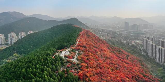 新华社点赞济南：山体修复展现城市美景，济南这些山体公园风光绝美，光看图已醉！