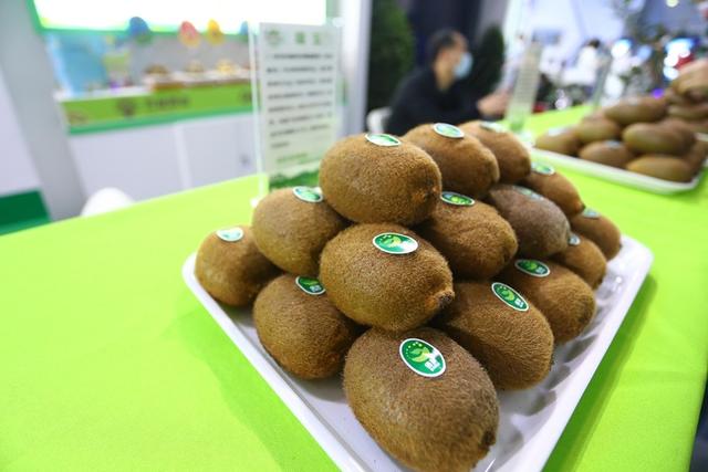 首届中国西部国际果业博览会形成2项重要成果