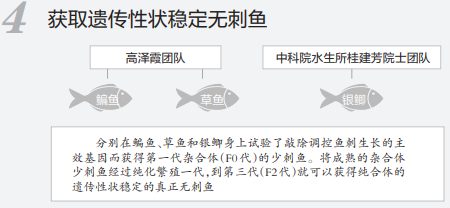 吃鱼不挑刺有望成为现实