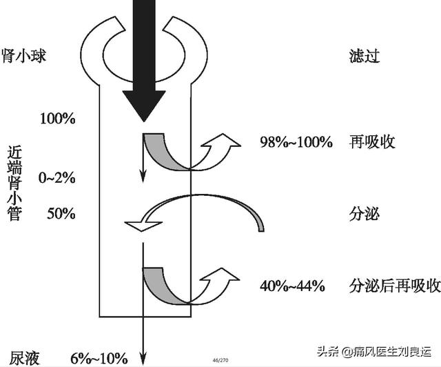 只有胖子才会患痛风？瘦子更容易出现尿酸高，医生讲解个中原因