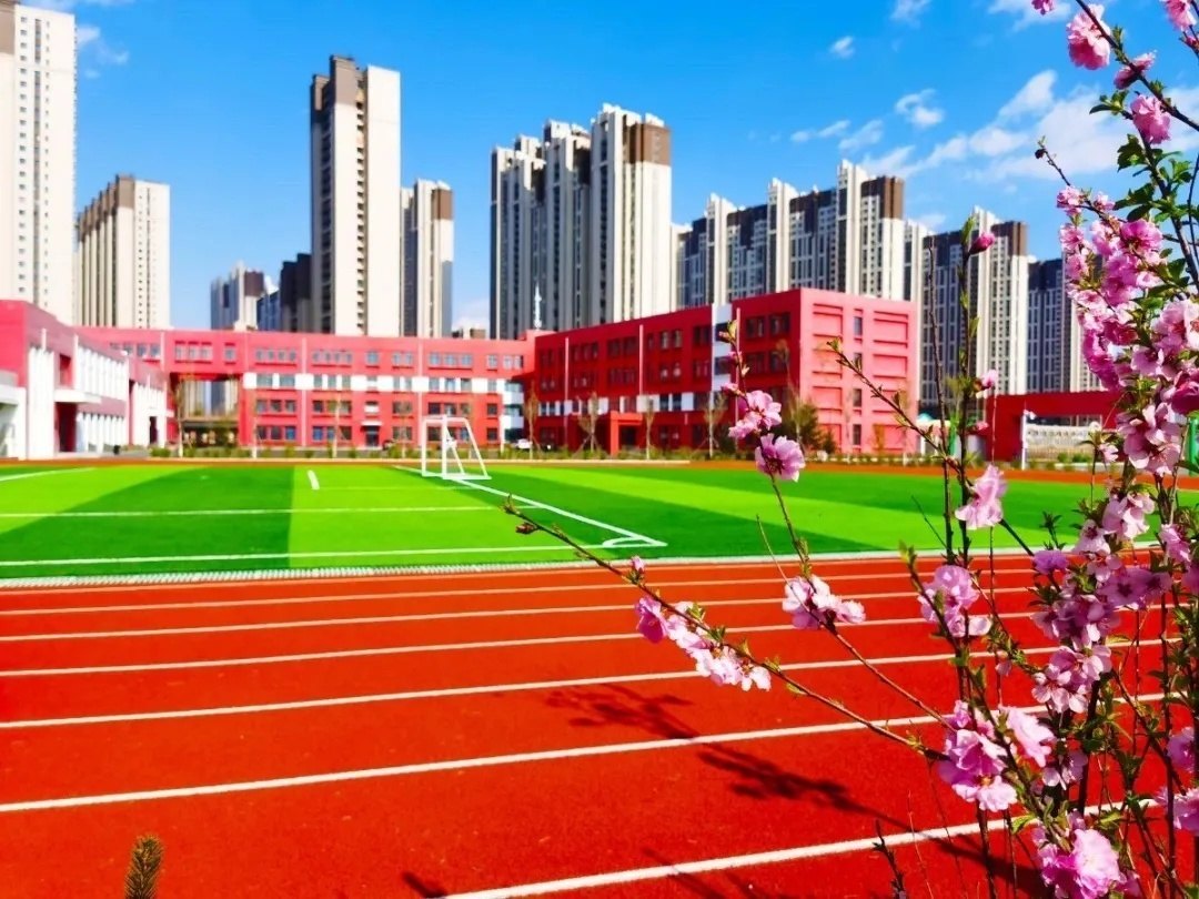 哈尔滨新区家长转起！2021公办小学学区及对口初中公布-小默在职场