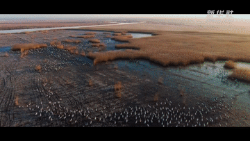 ea05337387275c9ef7e6793311d713ef.gif