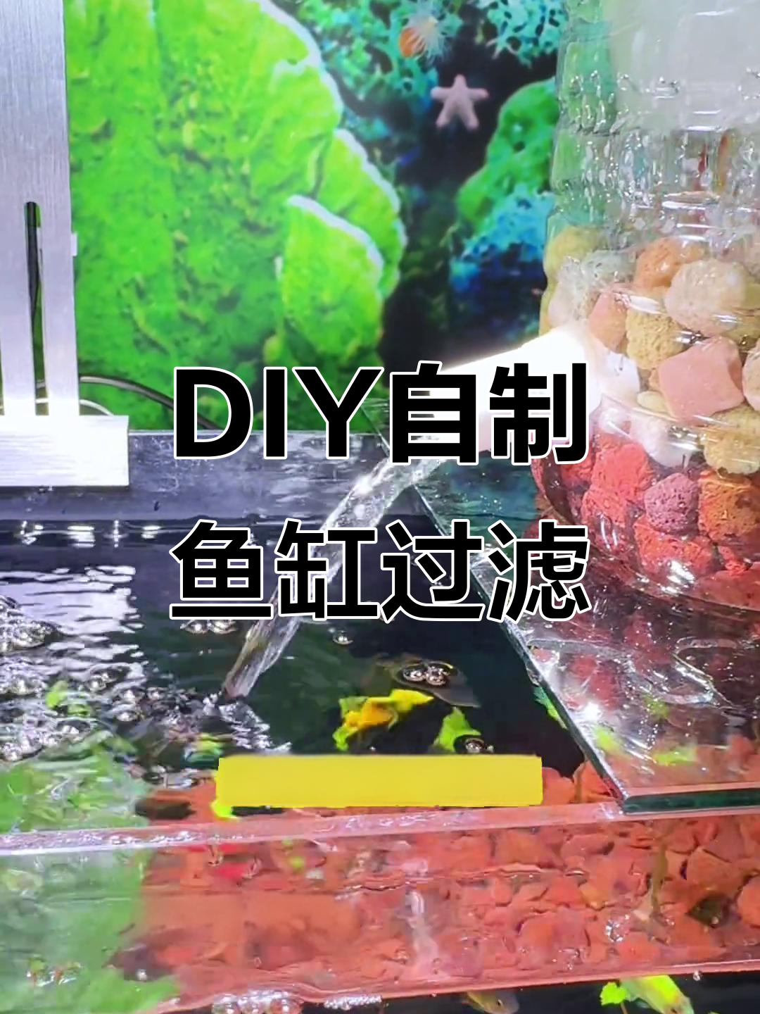 自制鱼缸过滤器，DIY水循环增氧设备教程