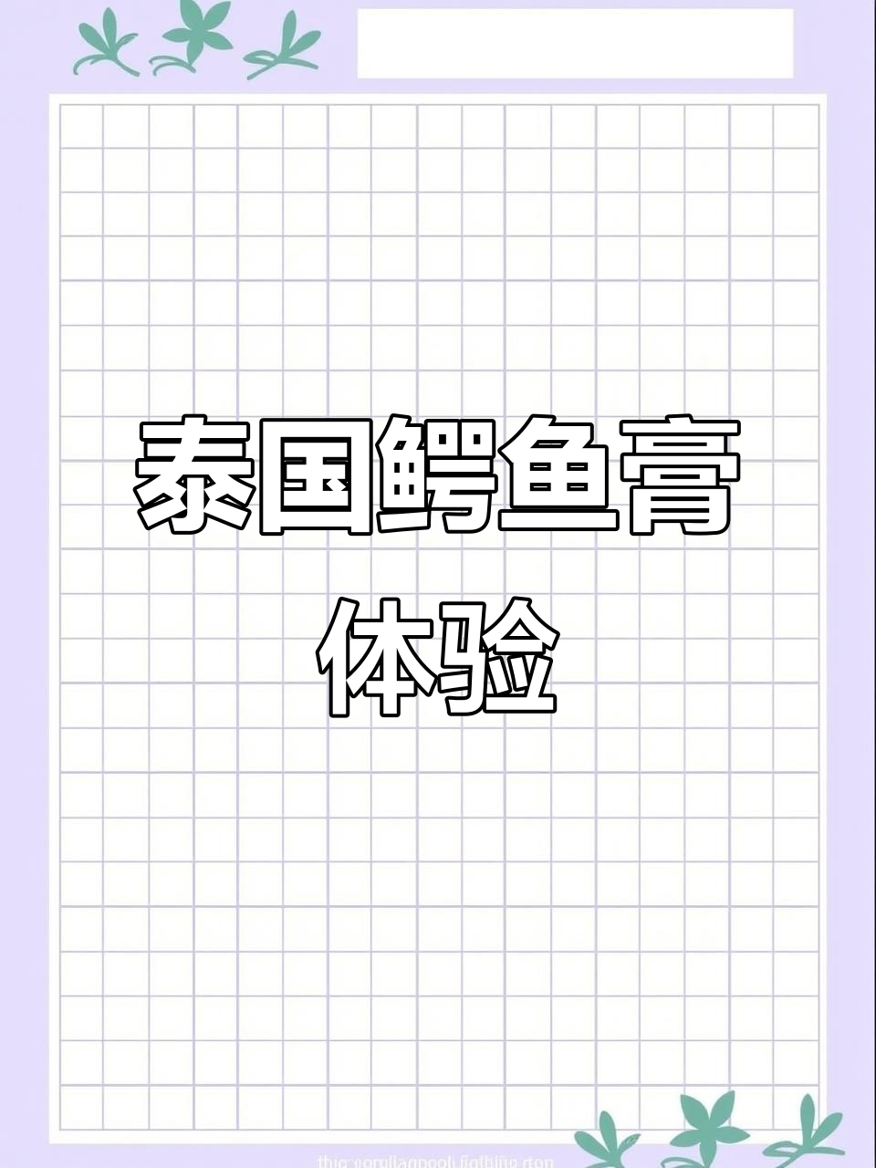 泰国鳄鱼膏使用心得,暴雨中的美丽误会