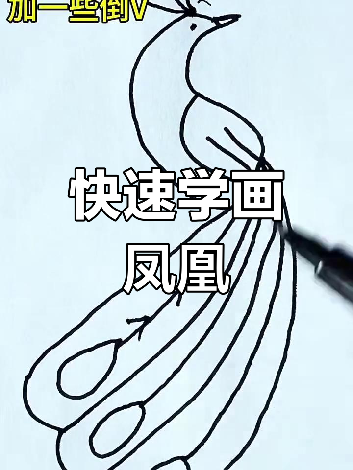 简单步骤教你画凤凰,轻松掌握简笔画技巧