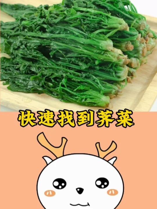 快速找到荠菜的方法,快来看看吧
