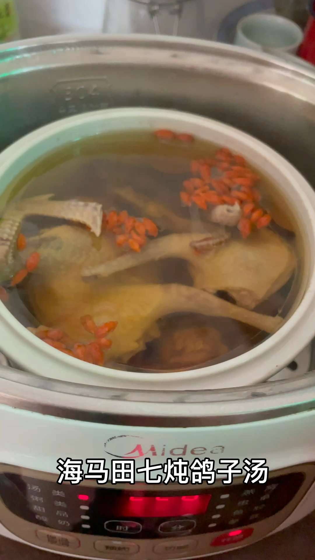 海马田七炖鸽子汤