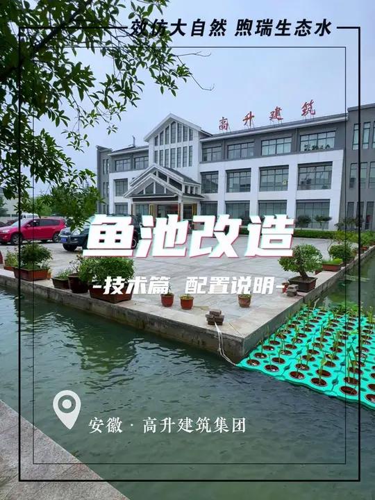 老池换新颜，鱼儿有新家，安徽150平方景观鱼池过滤改造完成 景观水池或鱼池已经成为主题公园