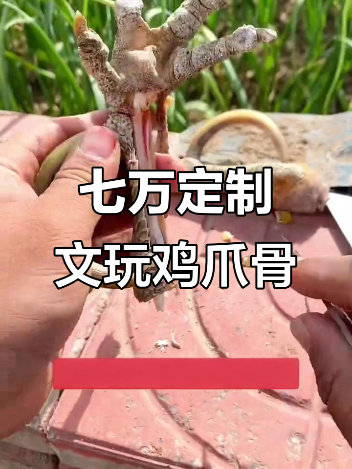 北京粉丝定制的文玩鸡爪骨,寓意深刻,价值七万