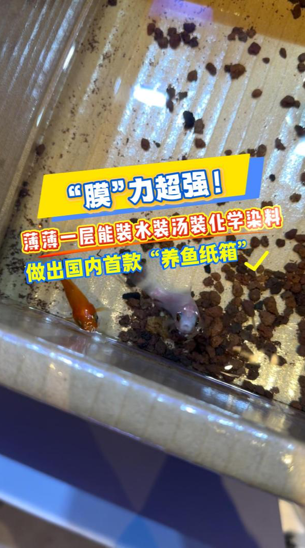 “膜”力超强!薄薄一层能装水装汤装化学染料,做出国内首款“养鱼纸箱”